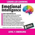 Emotional Intelligence at Work: Level 1