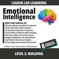 Emotional Intelligence at Work: Level 2
