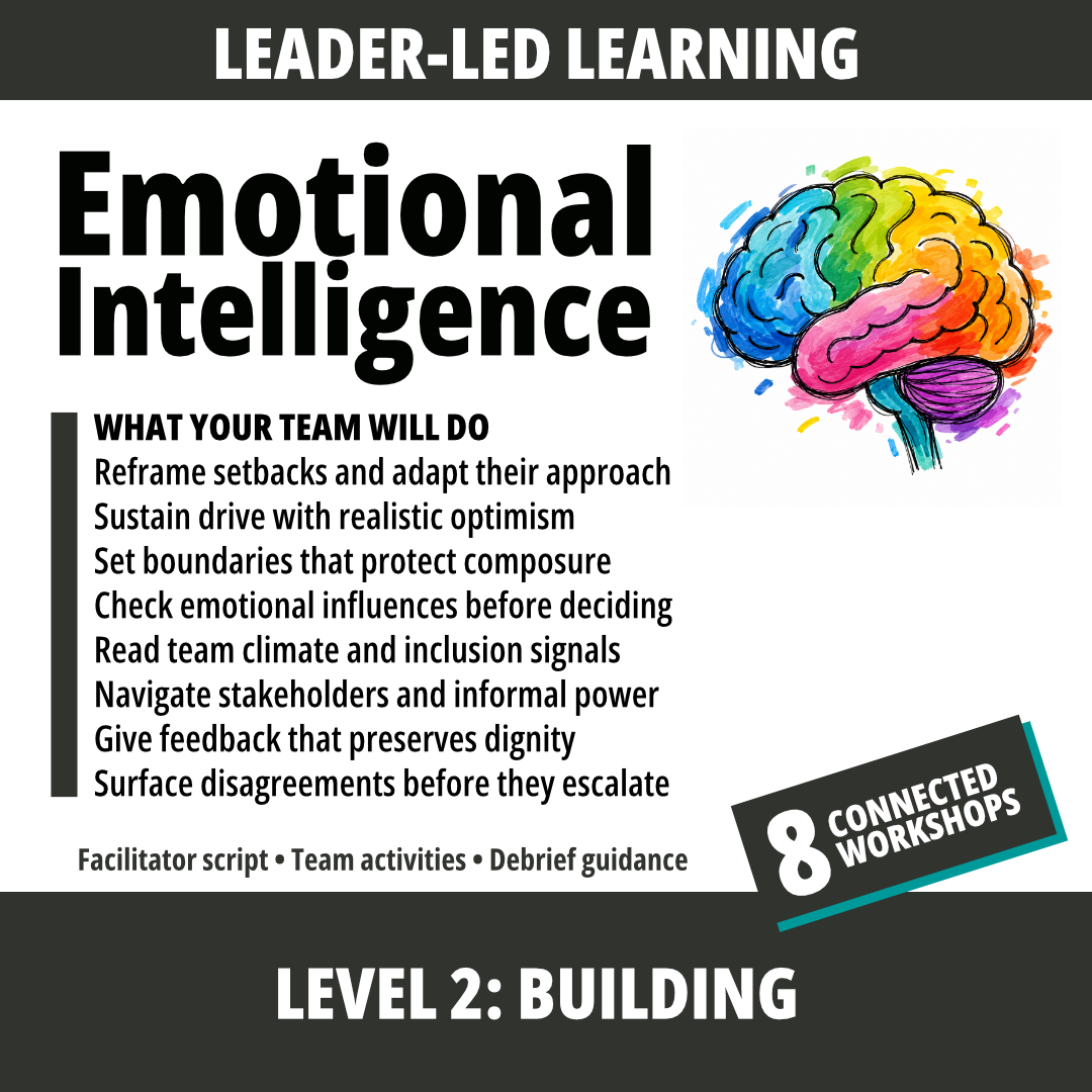 Emotional Intelligence at Work: Level 2