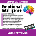 Emotional Intelligence at Work: Level 3