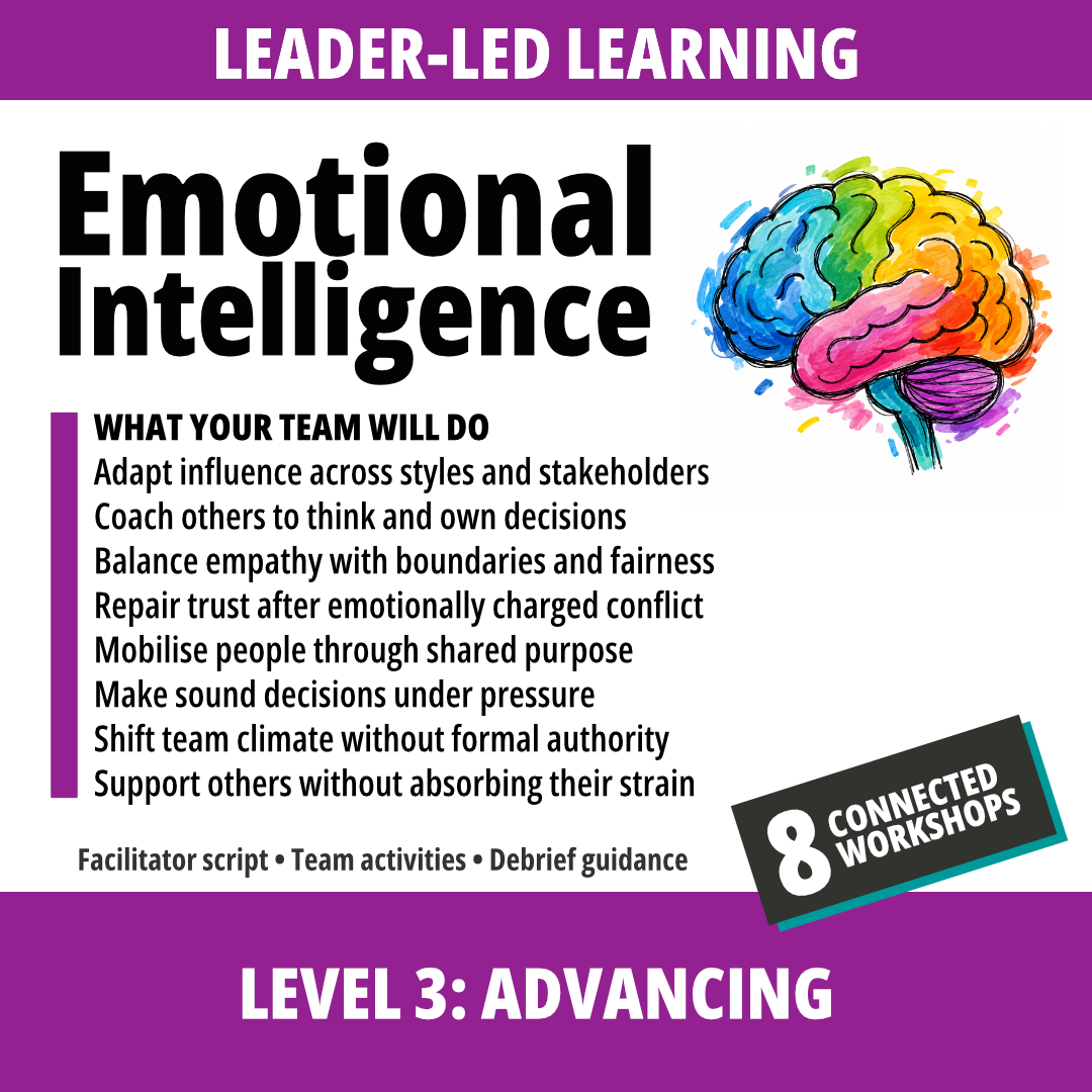 Emotional Intelligence at Work: Level 3