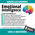 Emotional Intelligence at Work: Level 4