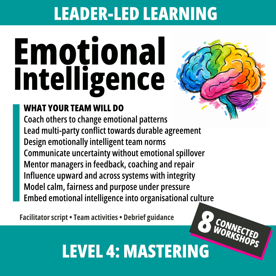 Emotional Intelligence at Work: Level 4
