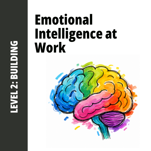 Emotional Intelligence Level 2 Course Tile