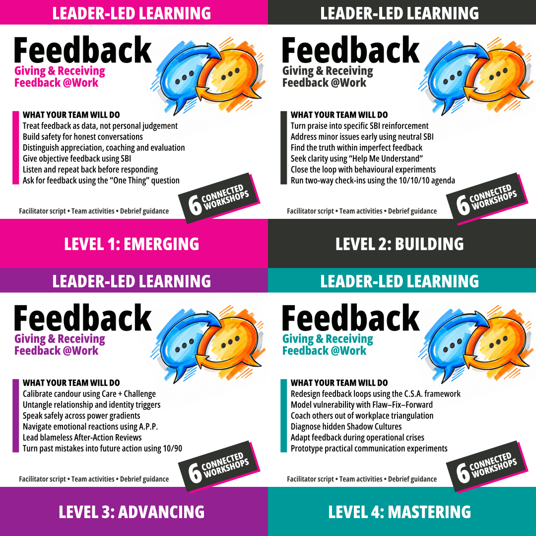 Feedback: 4 Level Bundle