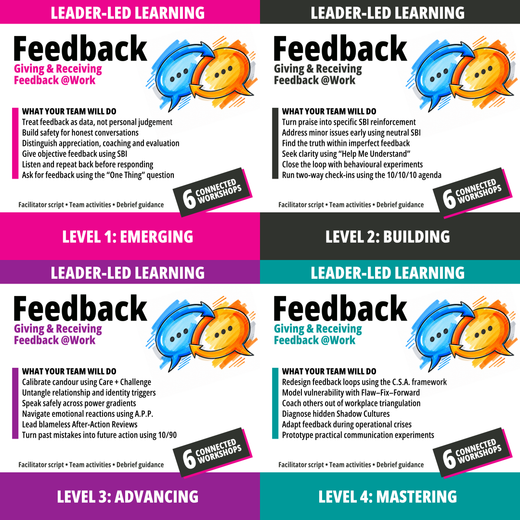 Feedback bundle: four courses and 24 workshops