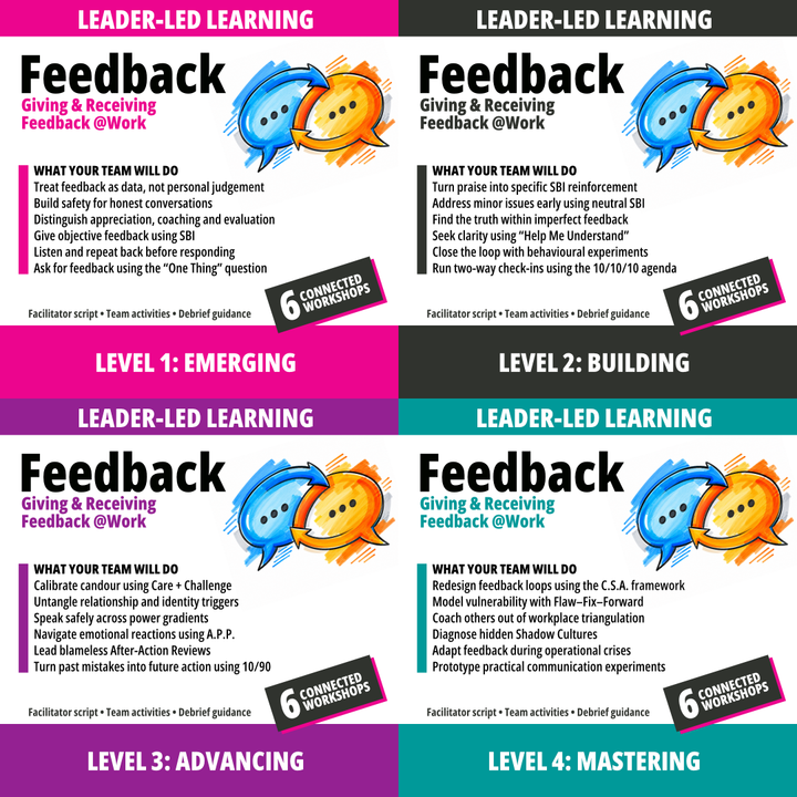 Feedback four-course bundle